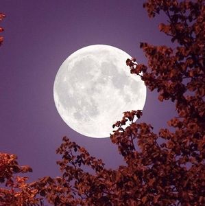 Meet your Posher, Rolando